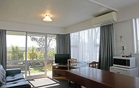 1-bedroom apartment - living area